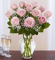 1 Dozen Light Pink Roses Standard Stem