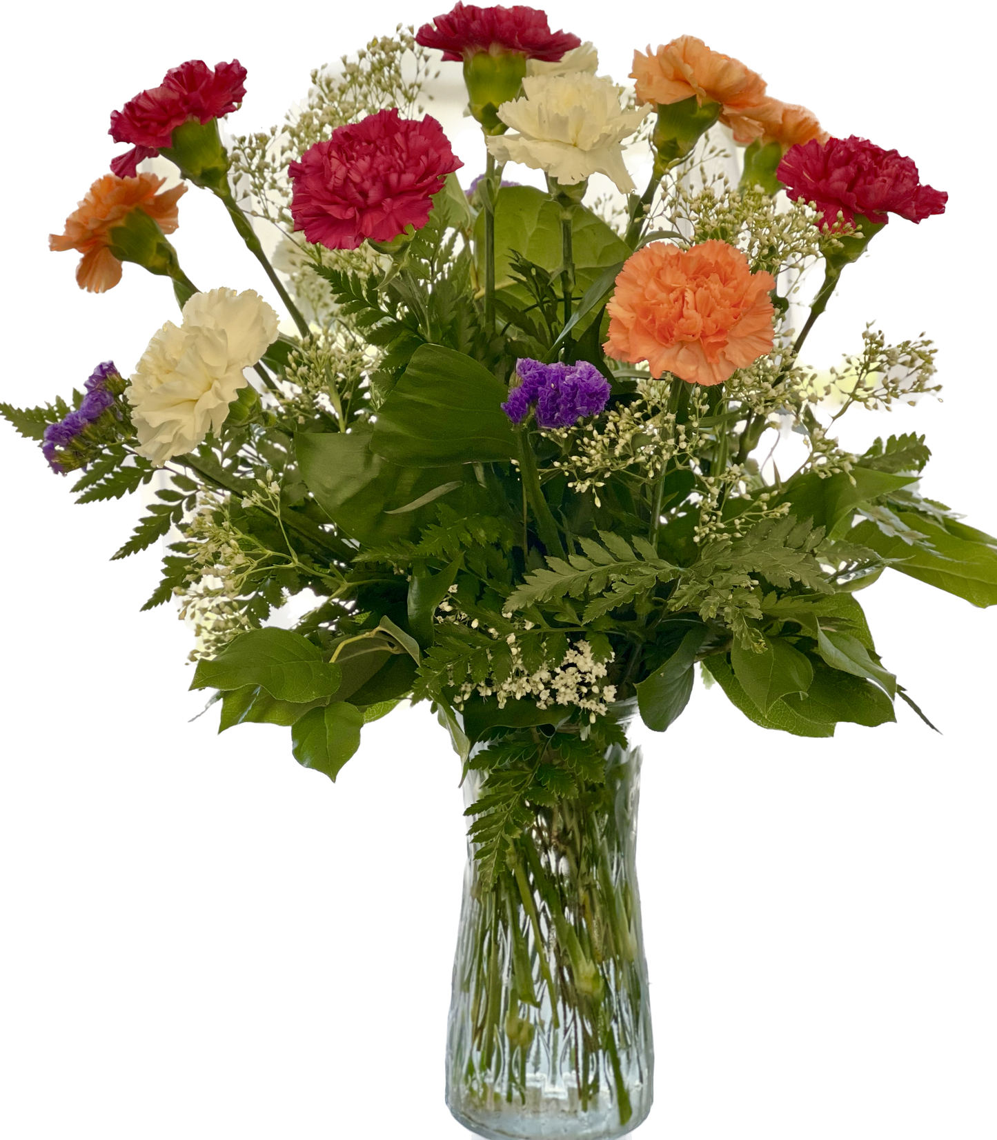 Carnations