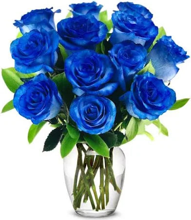 dozen blue roses