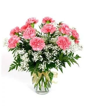 dz pink carnation
