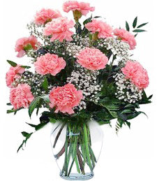 Dozen Pink Carnations