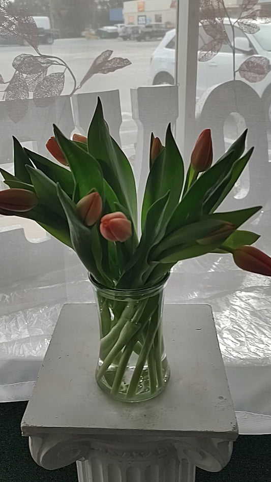 10 orange tulips in vase