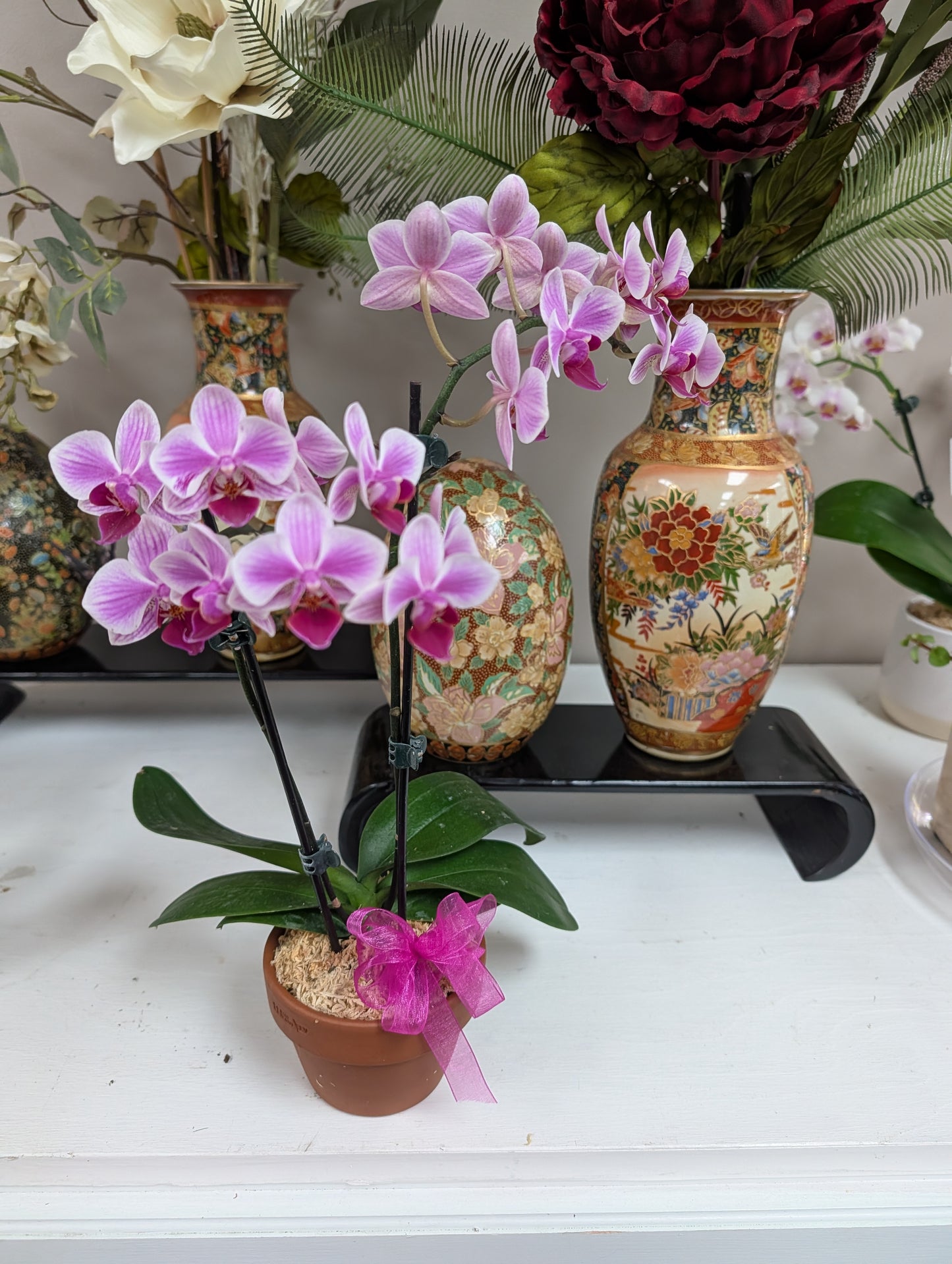 Petite orchid