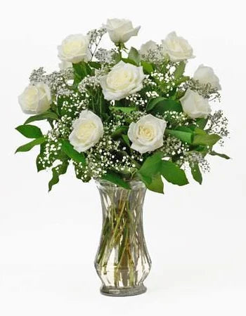 1 Dozen white roses