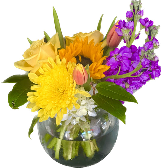Low Compact Arrangments (perfect for counter, office, or hospital)